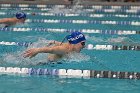 Swim vs Bentley  Wheaton College Swimming & Diving vs Bentley University. - Photo by Keith Nordstrom : Wheaton, Swimming & Diving